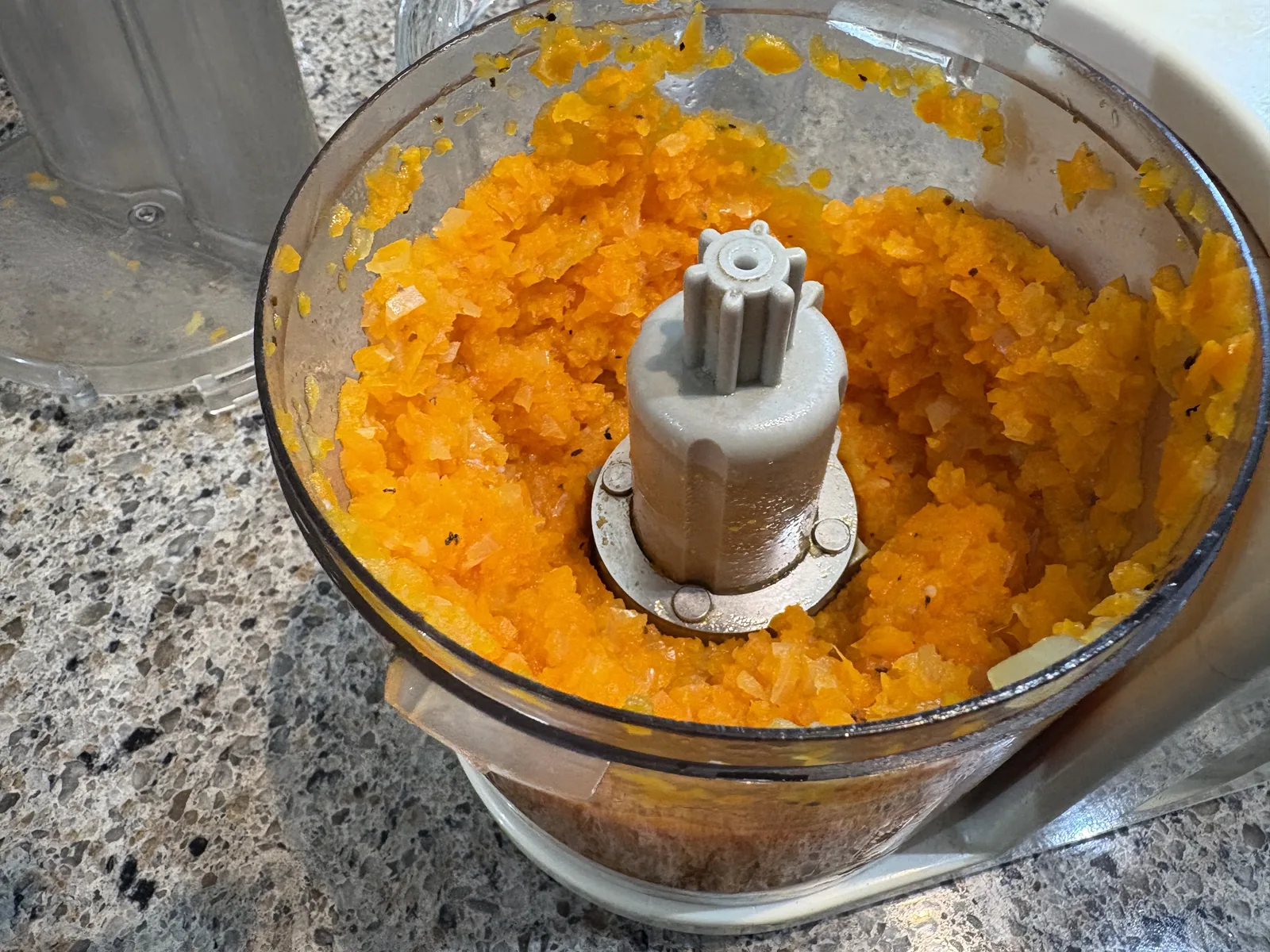 carrot spread blended in food processor