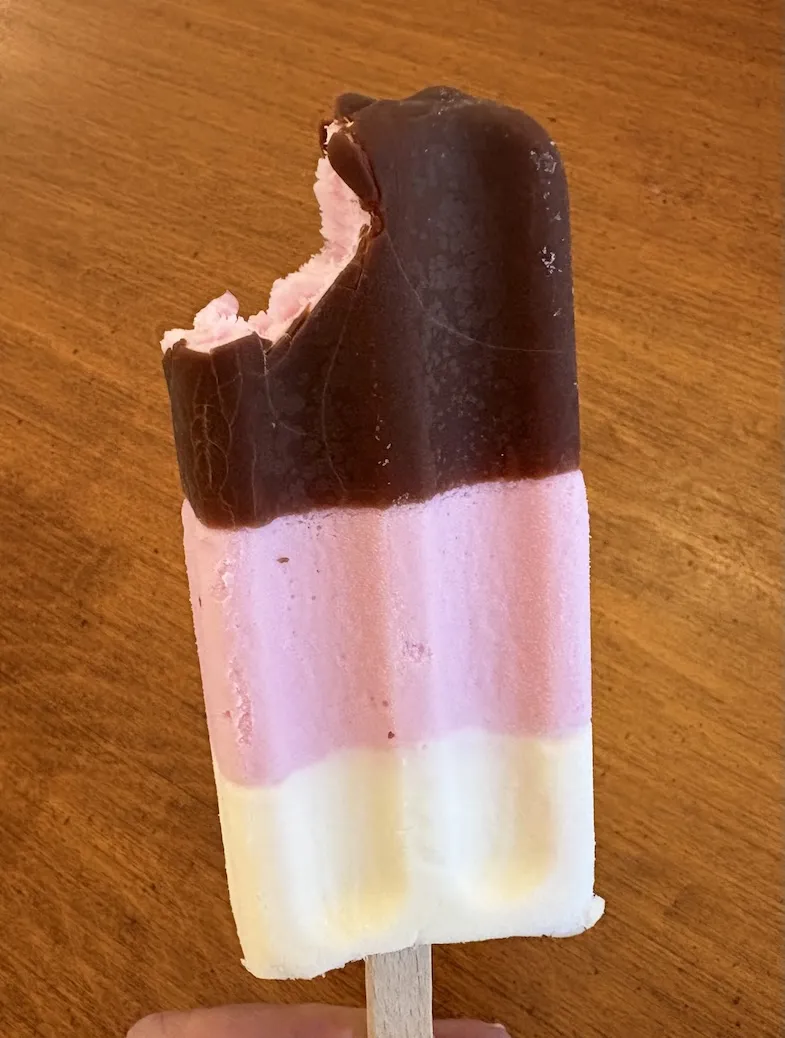 Chapman's Gluten-Free Neapolitan Frosty Treat Bars are Tasty!