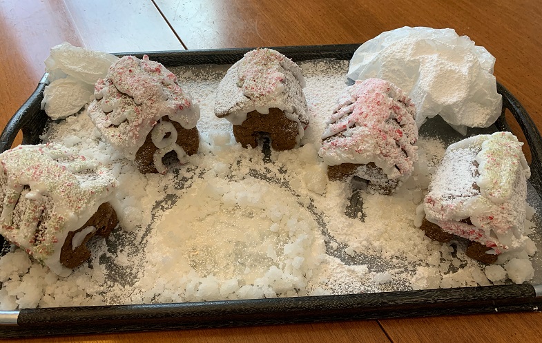 Lillybean's Gluten-Free Gingerbread Tiny House Village Kit Review