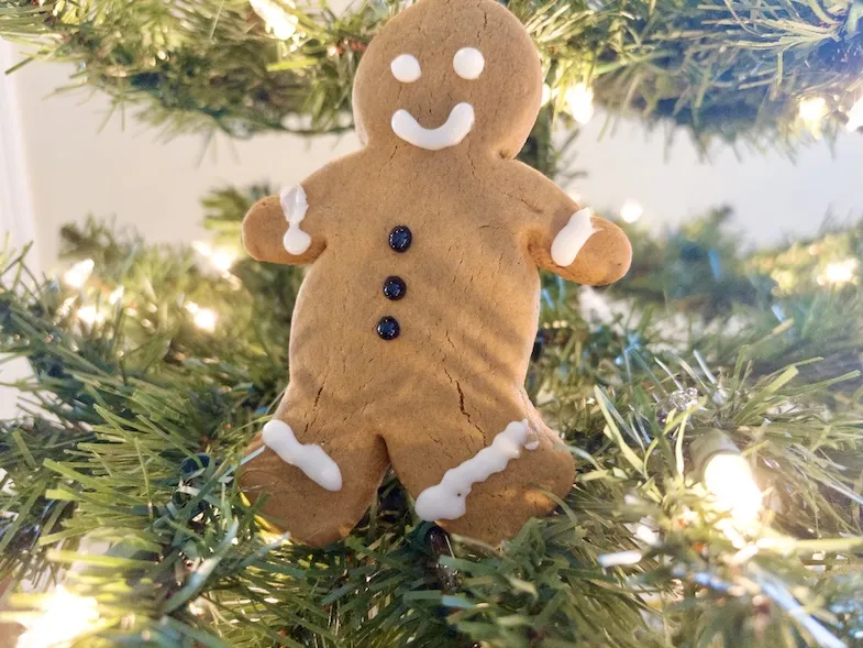 Gluten-Free Gingerbread Cookies Recipe for Christmas