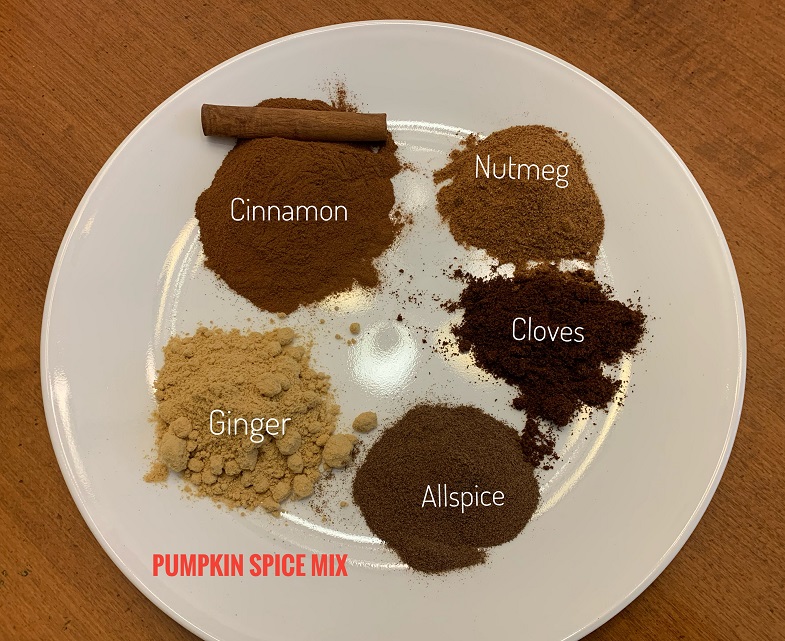 Gluten-free Pumpkin Spice Mix