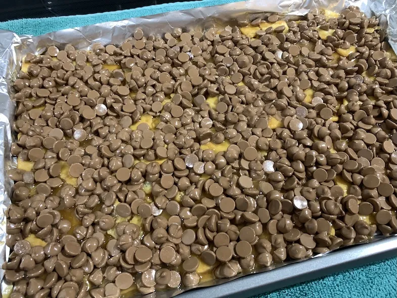 chocolate chips after being in the oven